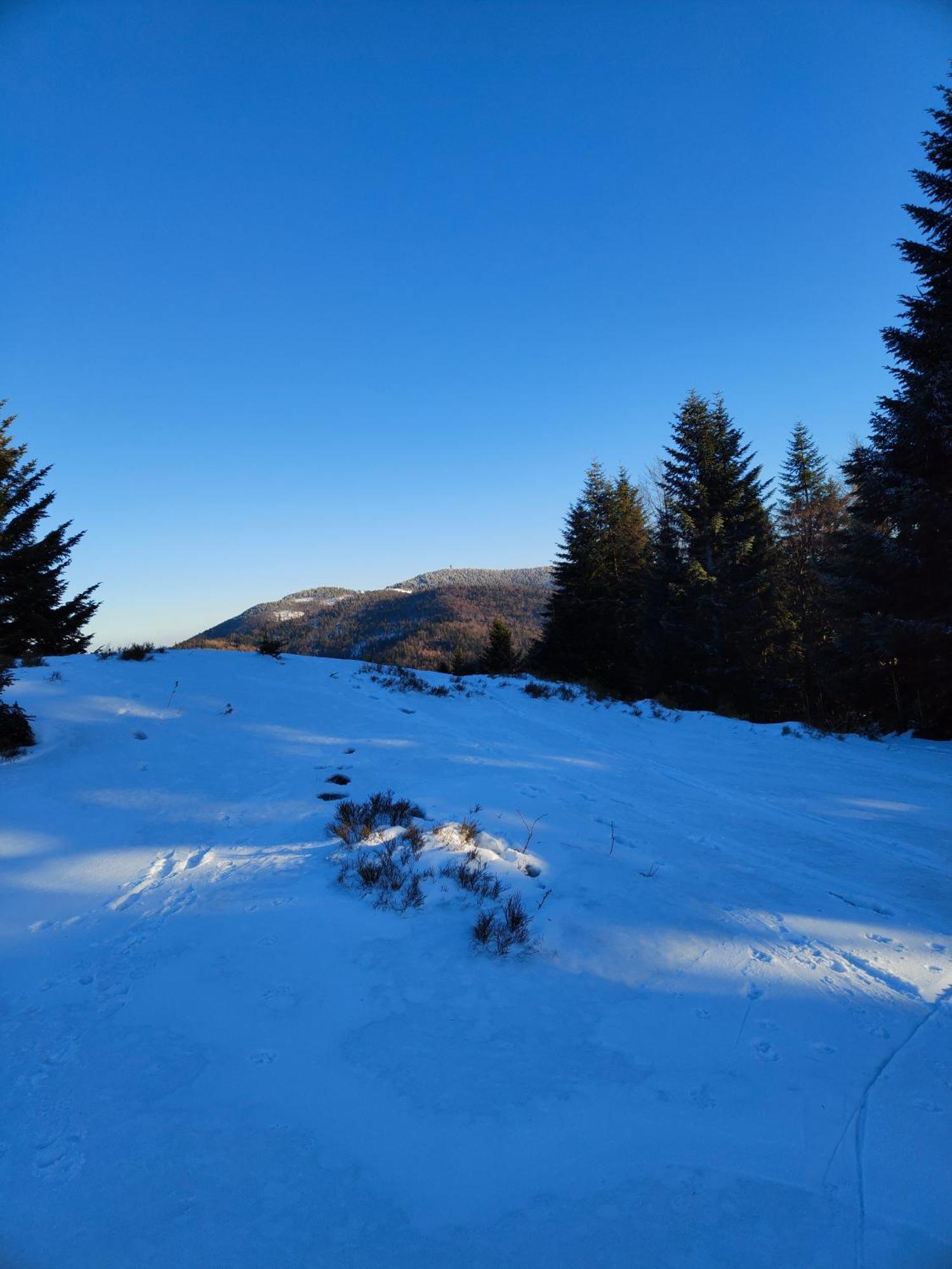 Blizejgorcow Villa Lubomierz  Bagian luar foto